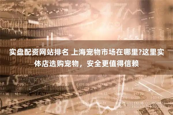 实盘配资网站排名 上海宠物市场在哪里?这里实体店选购宠物，安全更值得信赖