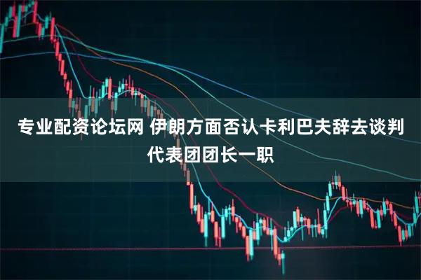 专业配资论坛网 伊朗方面否认卡利巴夫辞去谈判代表团团长一职